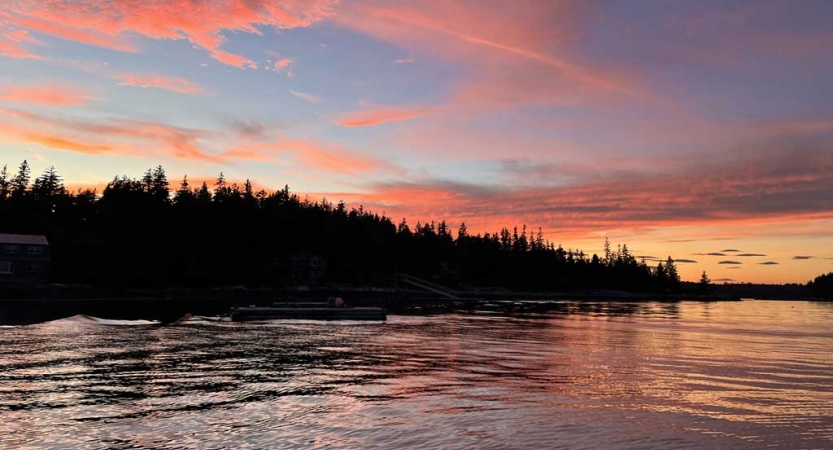 The sky appears in gentle colors above trees and a body of water. 